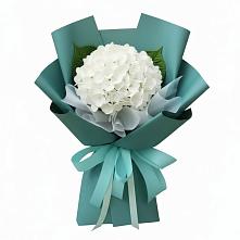 Букет цветов из:  Гортензия #REPLACE_PRED# Томске